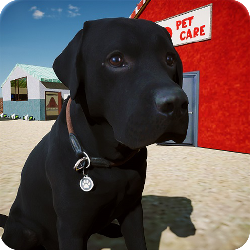 Katzen Apps – Die 15 besten Produkte im Vergleich - Haustierratgeber ...