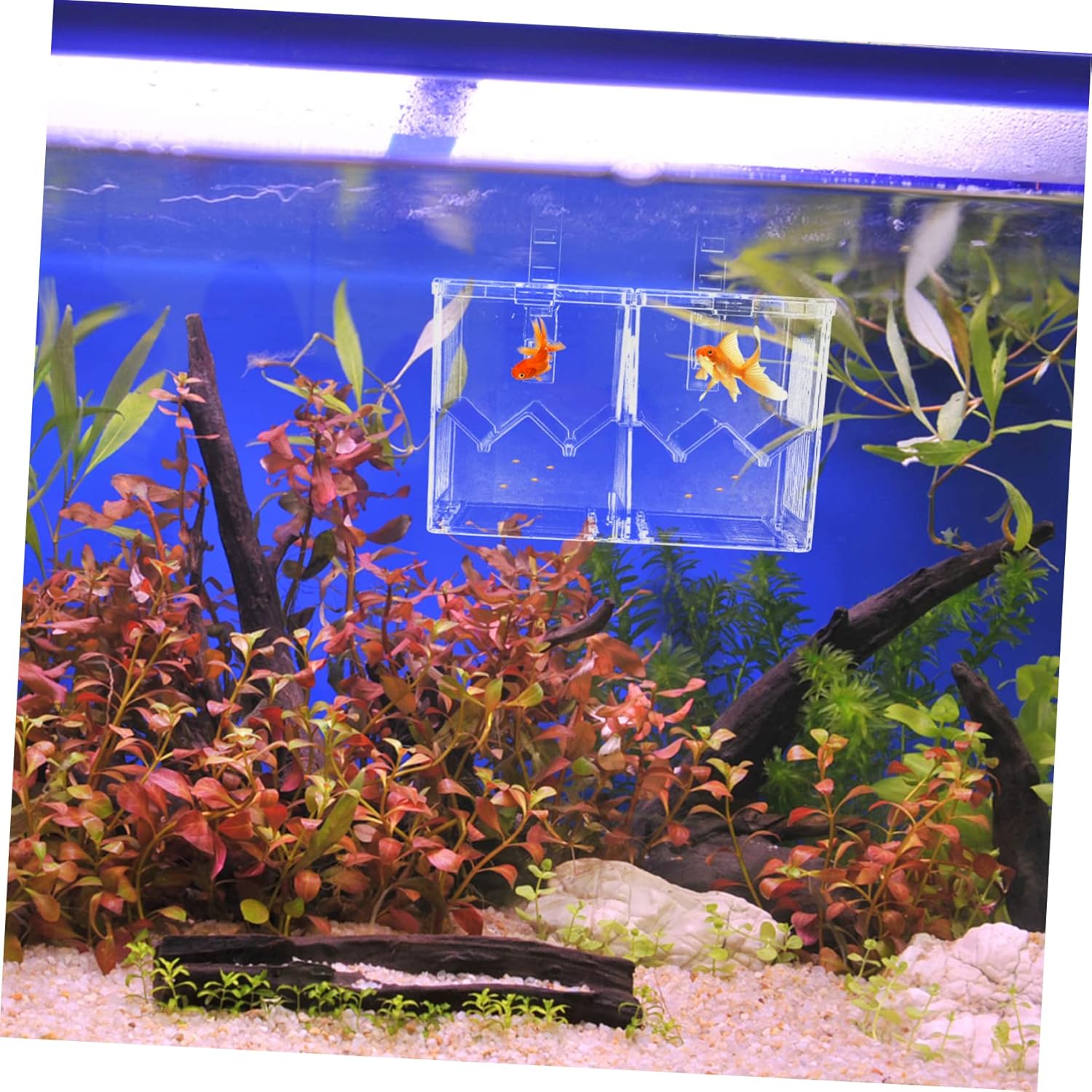 Kisangel Fish Breeding Box Aquarium Isolation Tank for Betta Guppy Viviparous Fish Easy Install Plastic Construction