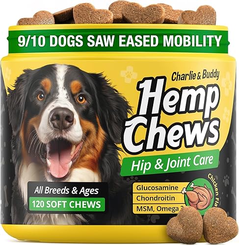Suplemento de cáñamo para perros  120 golosinas de cáñamo con glucosamina, condroitina, MSM, cúrcuma  Dog Jint Pin Rlief Masticables mejoran la