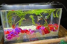 Review Image by Heather Heather