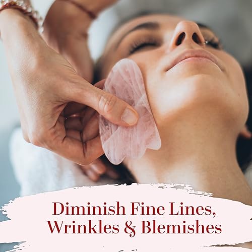 Miniatura 3 de Aceite de albaricoque orgánico | 100% puro, prensado en frío | Aceite de masaje para cuerpo y cara | Aceite para pieles sensibles | 4 oz por Better