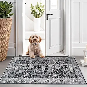 Washable 2x3 Entryway Area Rug: Vintage Soft Thin Door Mat with Non Slip Backing Water Resistant Carpet for Bedroom Low Pile Floor Mat for Kitchen Bathroom Easy Clean Rug for Family (2 X 3, Black)