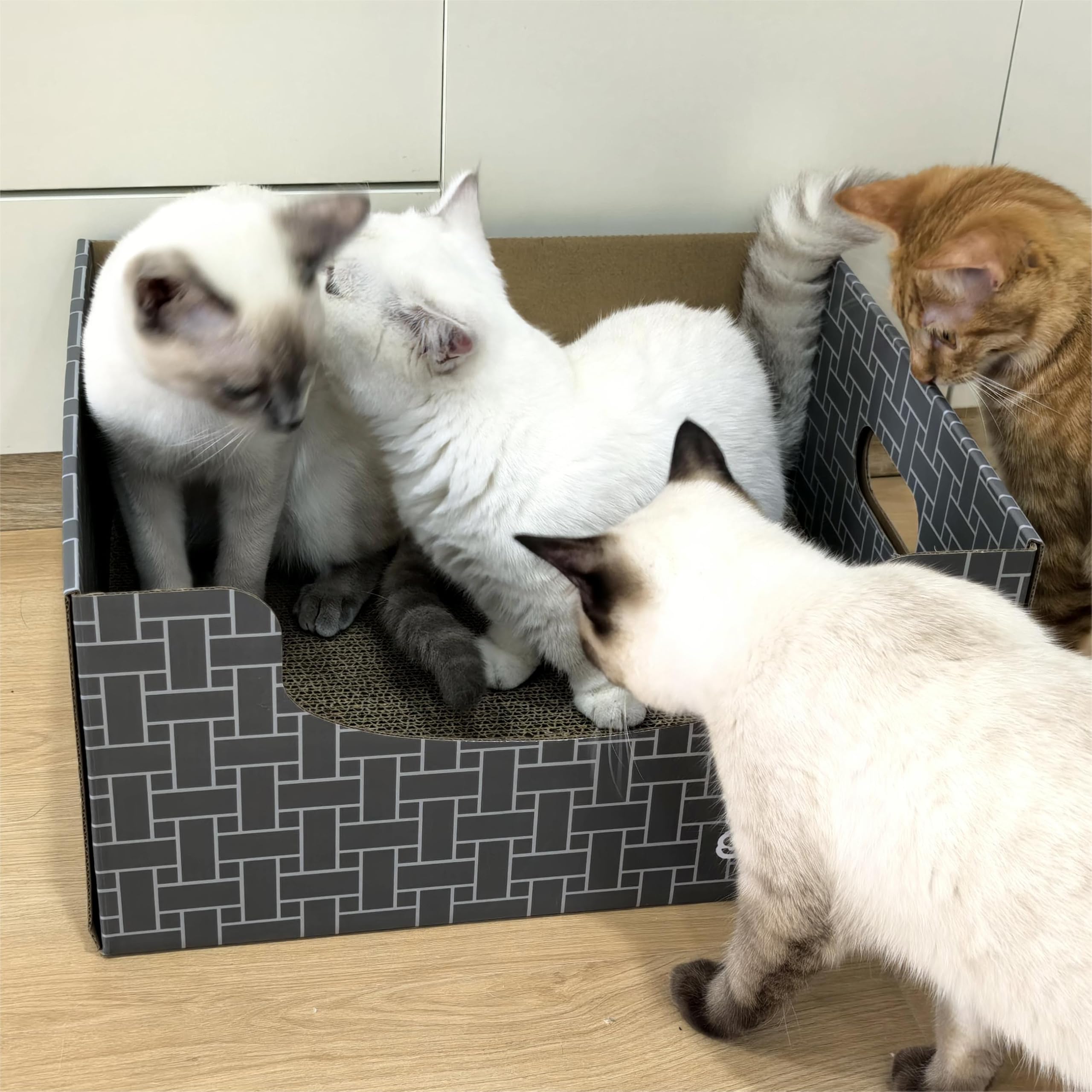 Tiragraffi in cartone per gatti con scatola extra large, spazio più grande, double-face, ricaricabile, facile da pulire, lettino graffiato per gatti da interni con motivi di tessitura