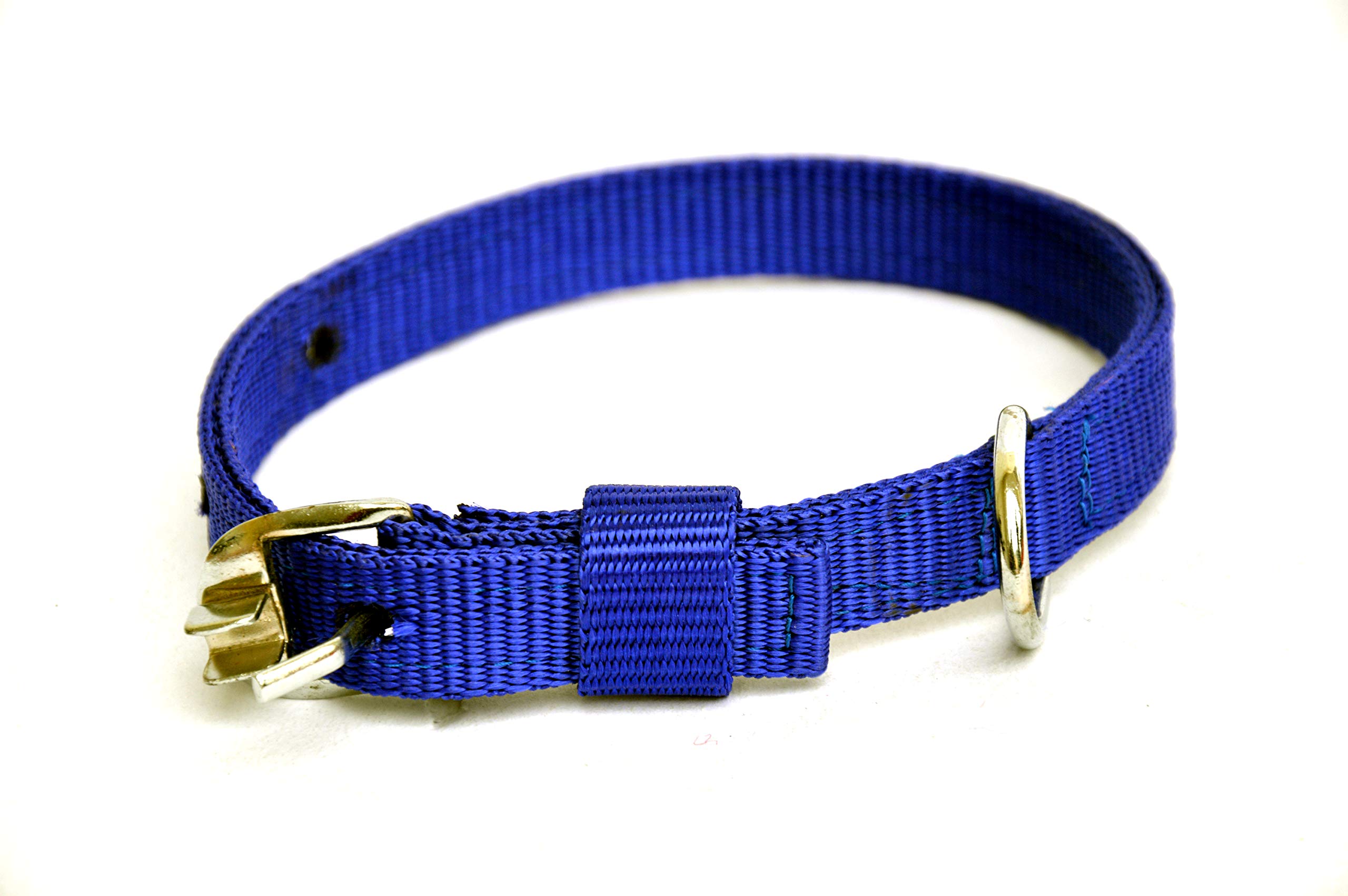 Dogista pet products Nylon Dog Collar 0. 75 inch (Color May Vary) Medium (B0851WRBBK) Amazon Price History, Amazon Price Tracker