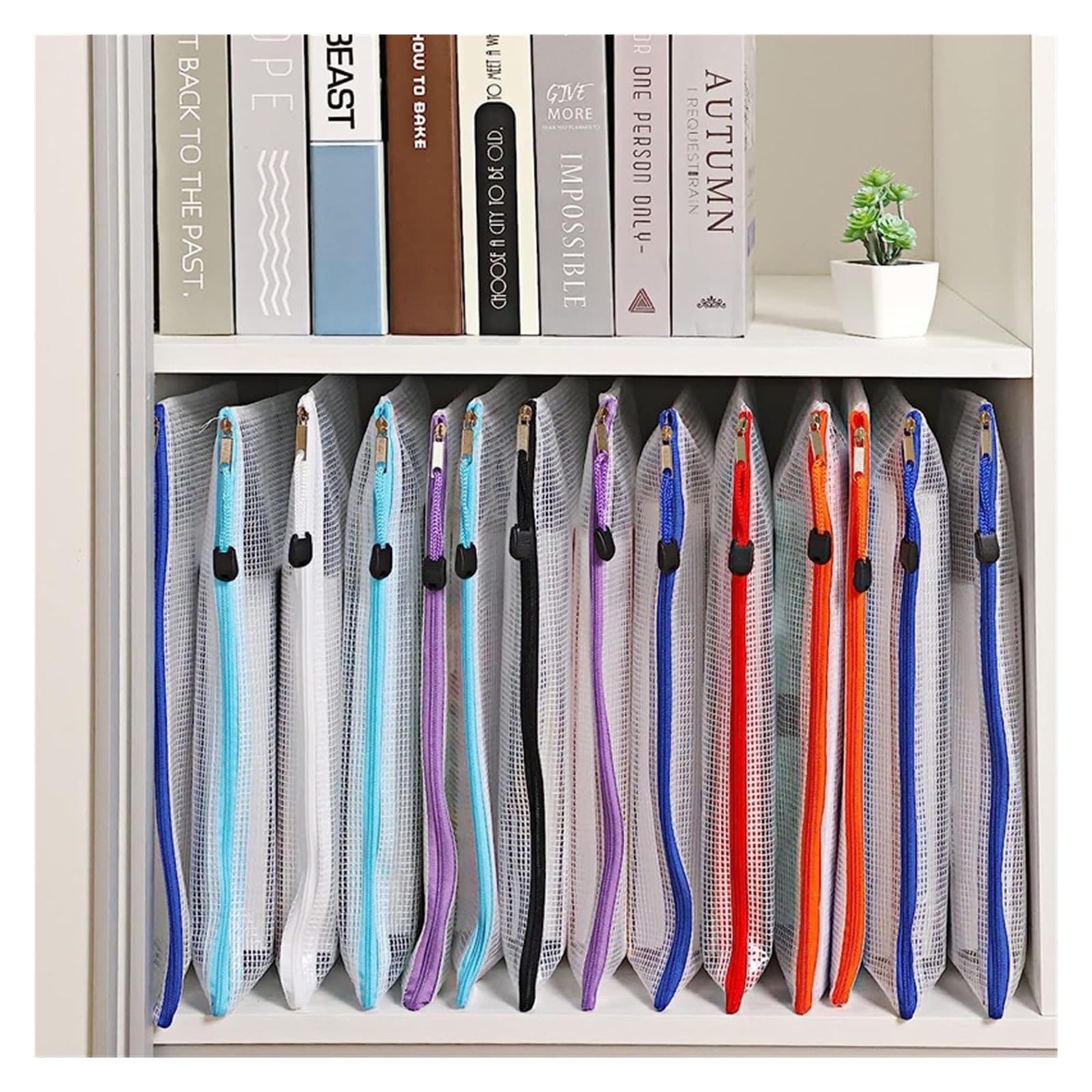 Borse con zip a rete Borsa con cerniera in rete 4 pezzi Cartella portaoggetti for cancelleria Cartella portadocumenti in rete con cerniera A3 A4 A5 A6 Cartelle portadocumenti con cerniera Forniture fo