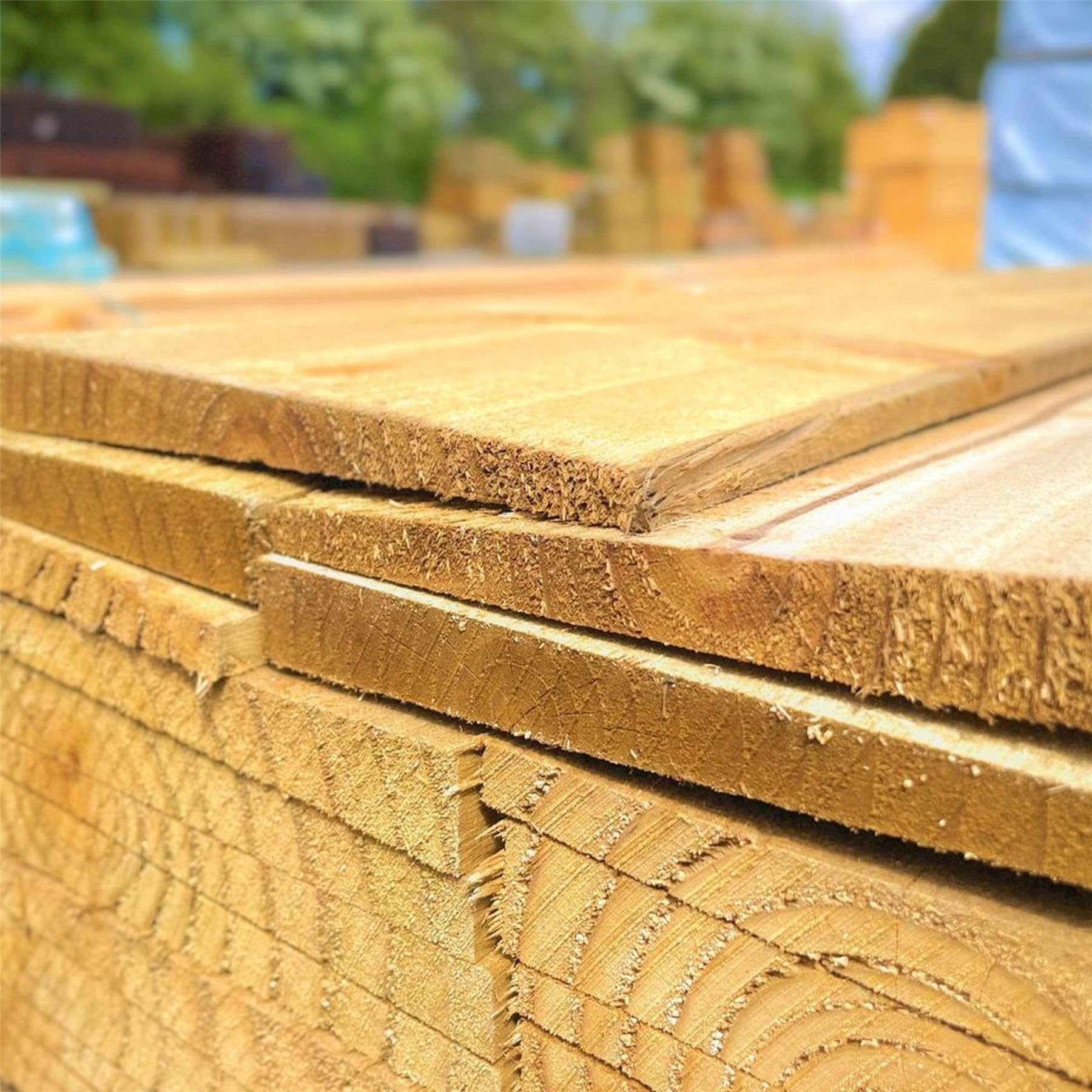 Pack of 50 Feather Edge Boards [Width: 125mm x (15mm Thick to 7mm Thin) x Length: 1500mm (5ft)] Sawn Timber Pressure Treated (Tanalised) Green Wood Natural Colour. Ideal for fencing & garden projects