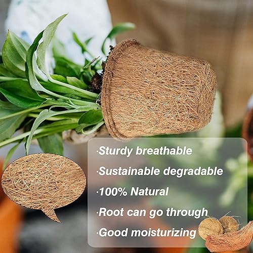 Miniatura 4 de Halatool Paquete de 100 macetas de turba de coco para principiantes, macetas biodegradables para jardín, guardería, kits de germinación de semillas