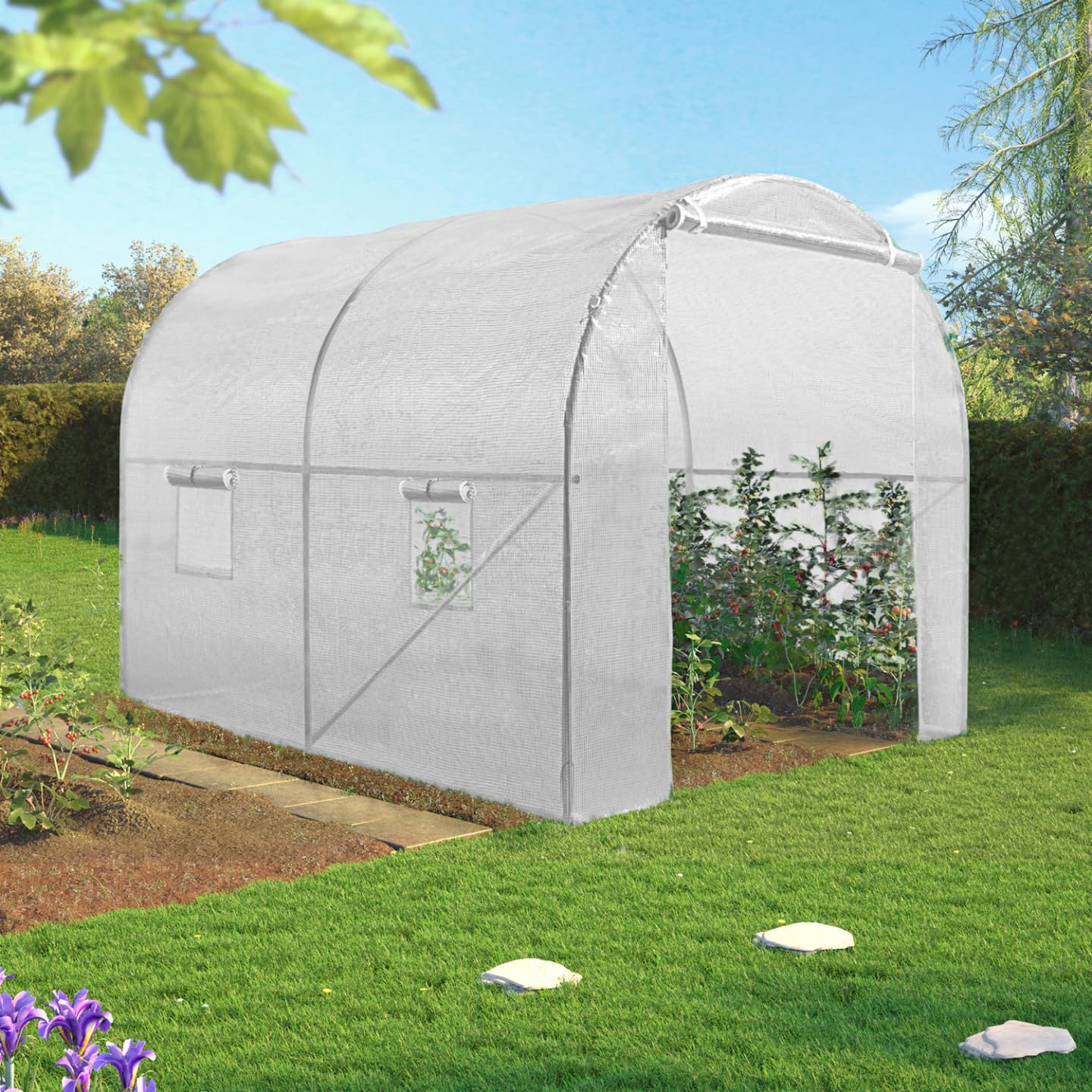 IDMarket - Serre Tunnel de Jardin 6M² Blanche Gamme maraîchère Roma 2x3M