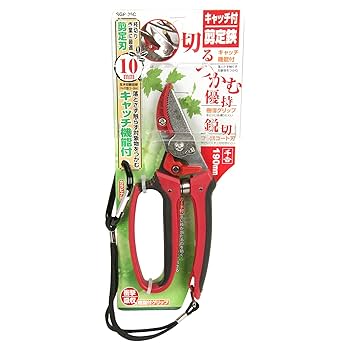 さだきち 81Ckxdc6M9L._UF350,350_QL80_.jpg