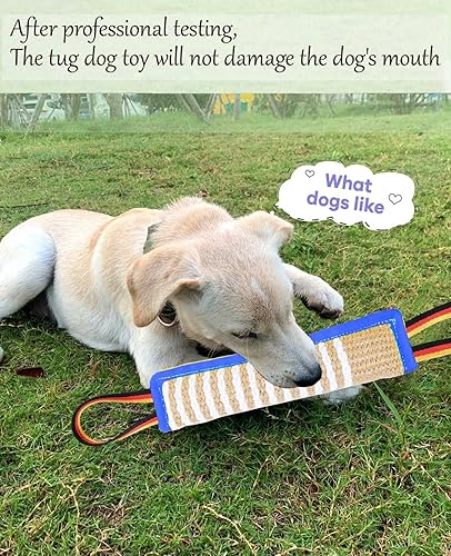 Miniatura 10 de Clysoru Juguete para tirar del perro, almohada de yute para mordedura de perro, juguete con 2 asas fuertes