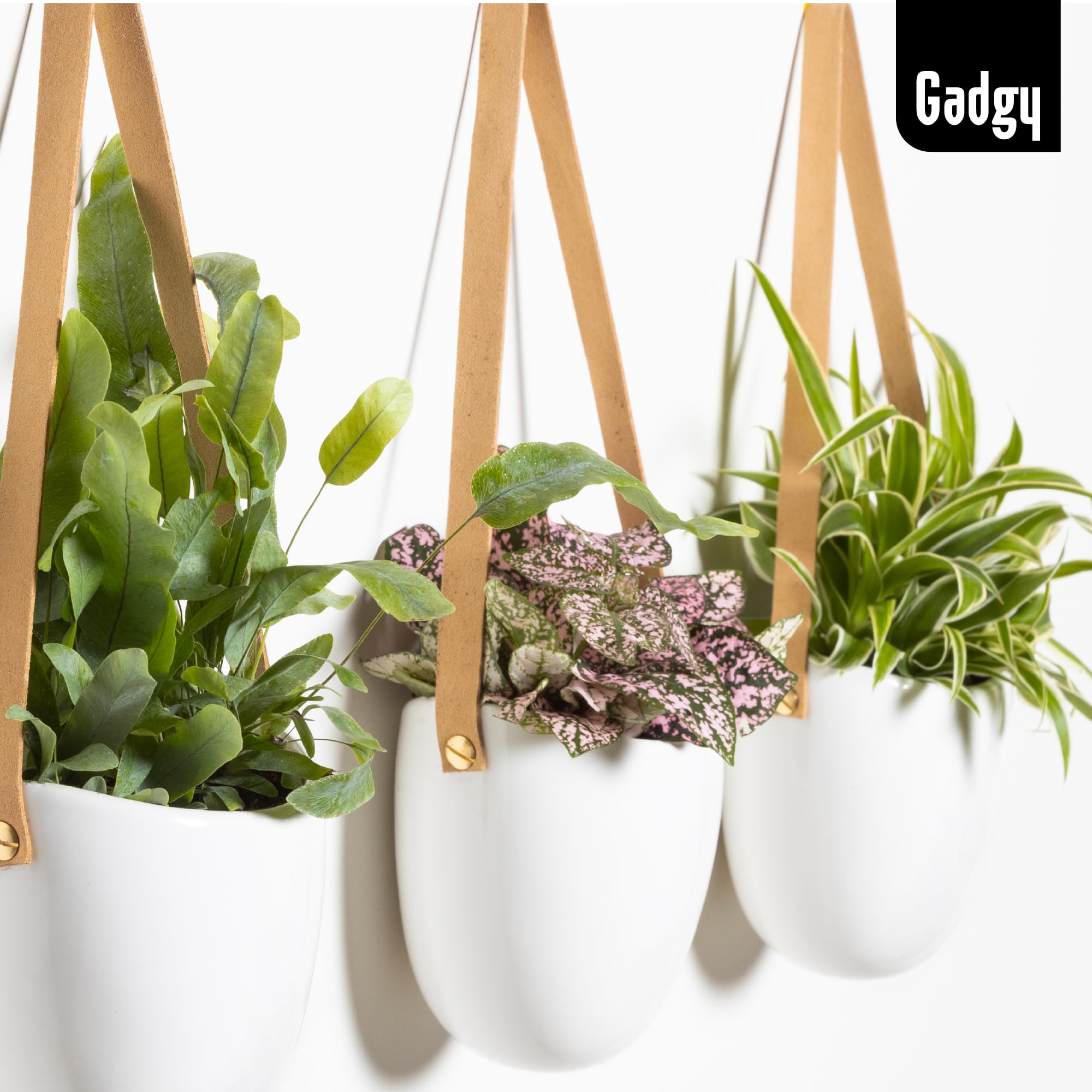 Gadgy Macetas Colgantes | Set di 3 Macetas para Colgar | Macetero Colgante | Maceteros Colgantes | Adornos para Cocina | Plantas Colgantes Interior | Decoracion terraza |Macetero Pared