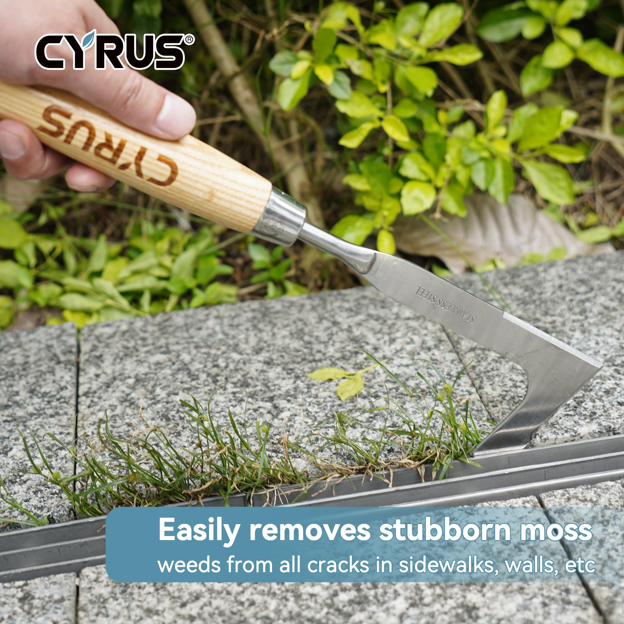 CYRUS Crack Weeder,Weed Puller Tool,13.6”Stainless Steel Weeder,Hand Weeder Hook for Lawn Garden Patio Deck