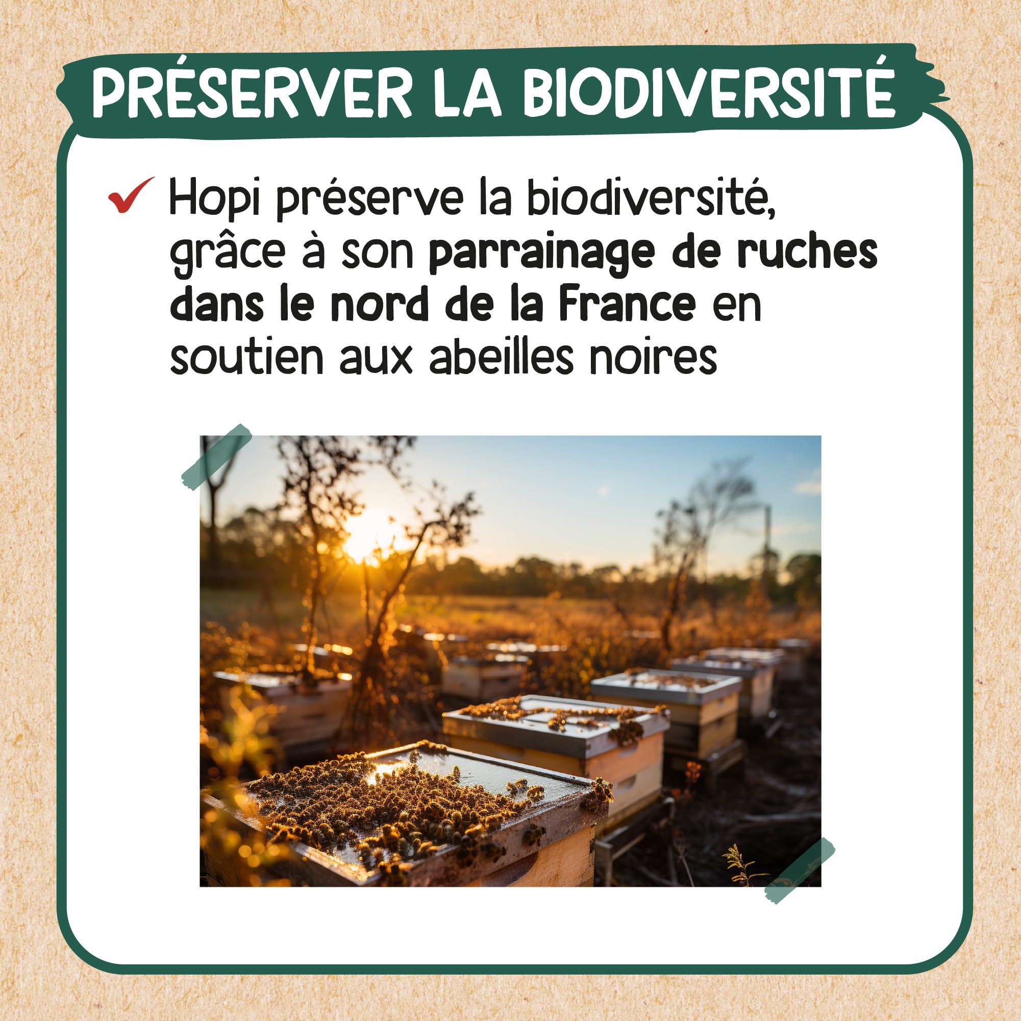 HOPI Mousse Insectifuge sans rinçage Chat et Chien 150 ML - Repousse Les Puces, Les Tiques et Moustiques - Extraits de Plantes Naturelles - Pratique et Econome - Fabriqué en France