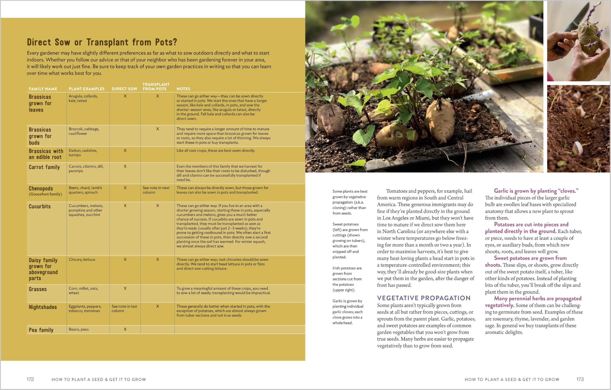 Grow Your Own Garden: A Complete Guide -8