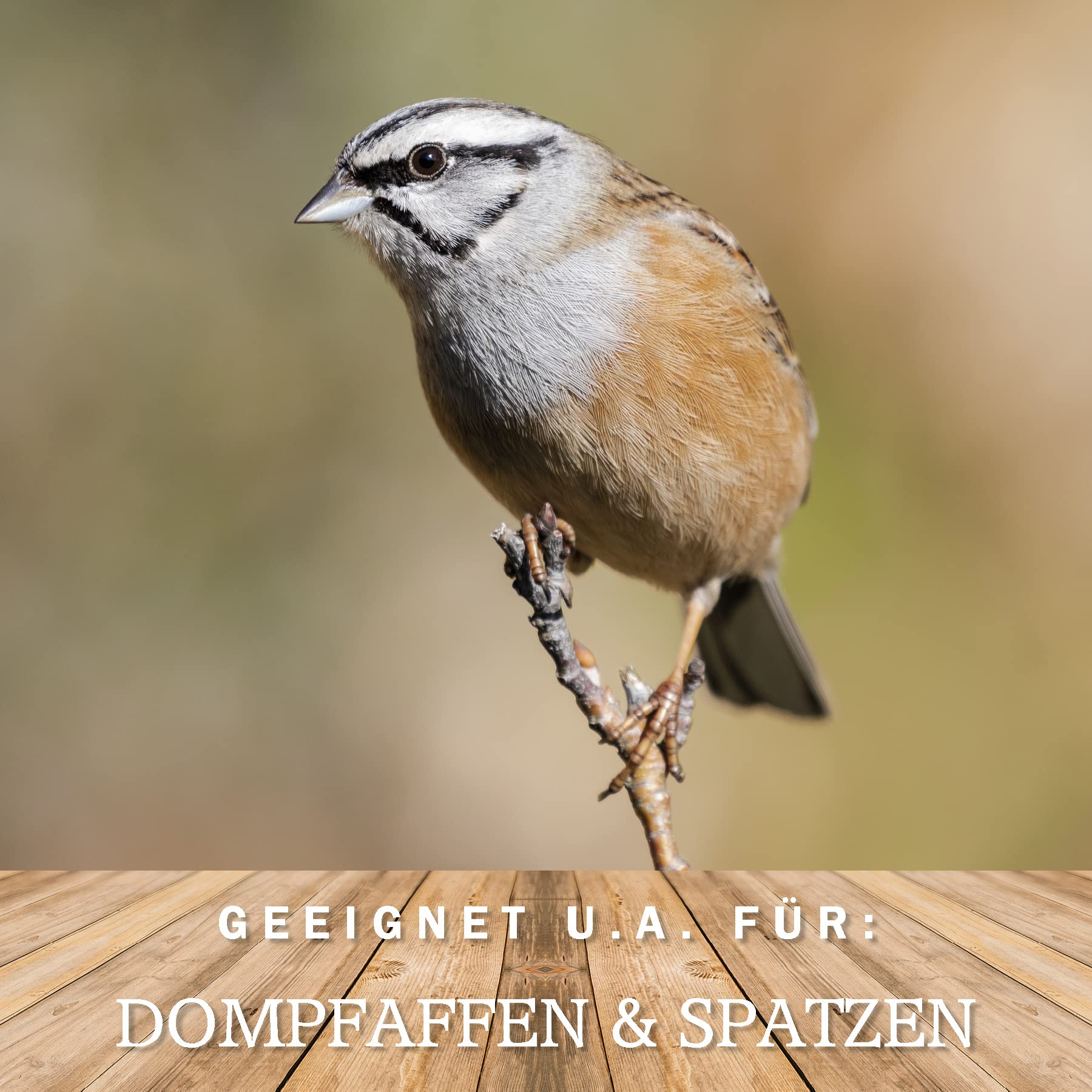 MeinWildvogel - Wildvogel-Vital Basic - Vogelfutter 30 kg XXL - Wildvogelfutter - Streufutter - Ganzjahresfutter für Vögel mit Sonnenblumenkernen - Gentechnikfrei & Ambrosia-kontrolliert