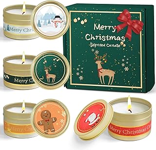 STRN Scented Candles Gift Set Aromatherapy Candles Set for Home 4 Pack, Apple & Cinnamon, Gingerbread, Noble Wine, Winter Cedar Wood Scent for Christmas, Father's Day and Birthday