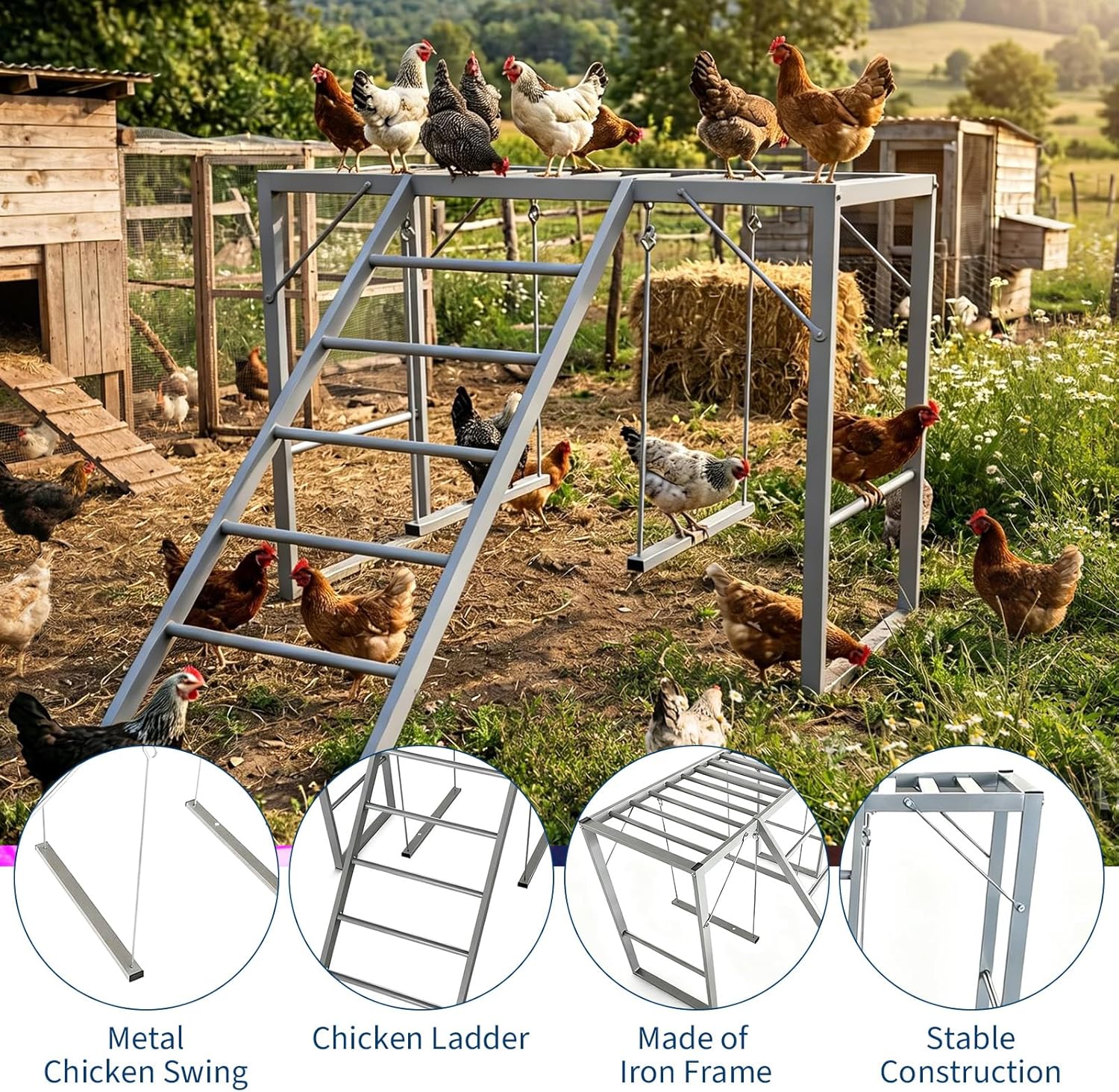 Metal Chicken Perch, Chicken Roosting Bars with Swing & Ladder for 8-10 Chickens, Backyard Farm Healthy Enrichment Playground, Applicable to Backyard, Farms