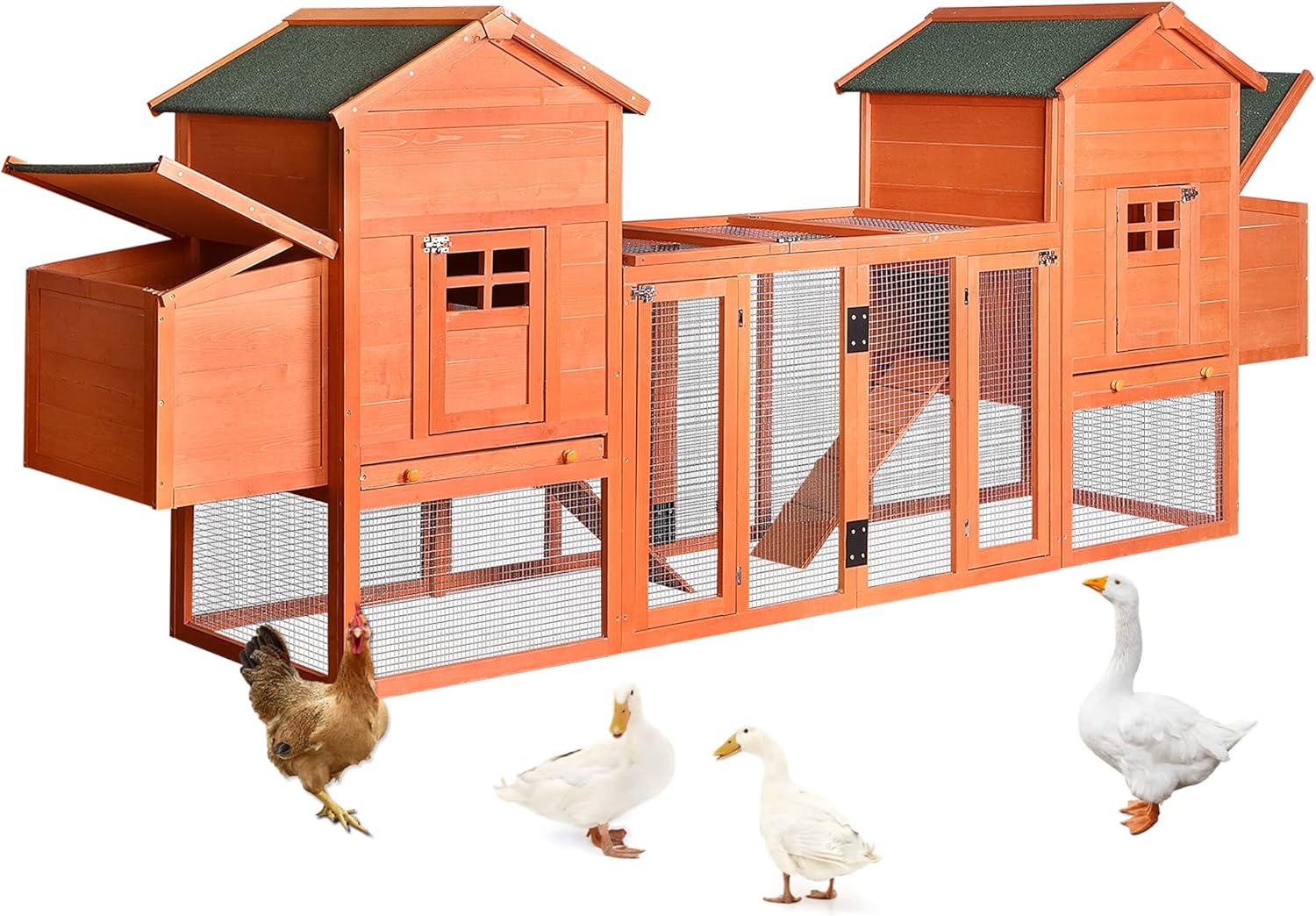 a chicken coop holds a total of 10 hens