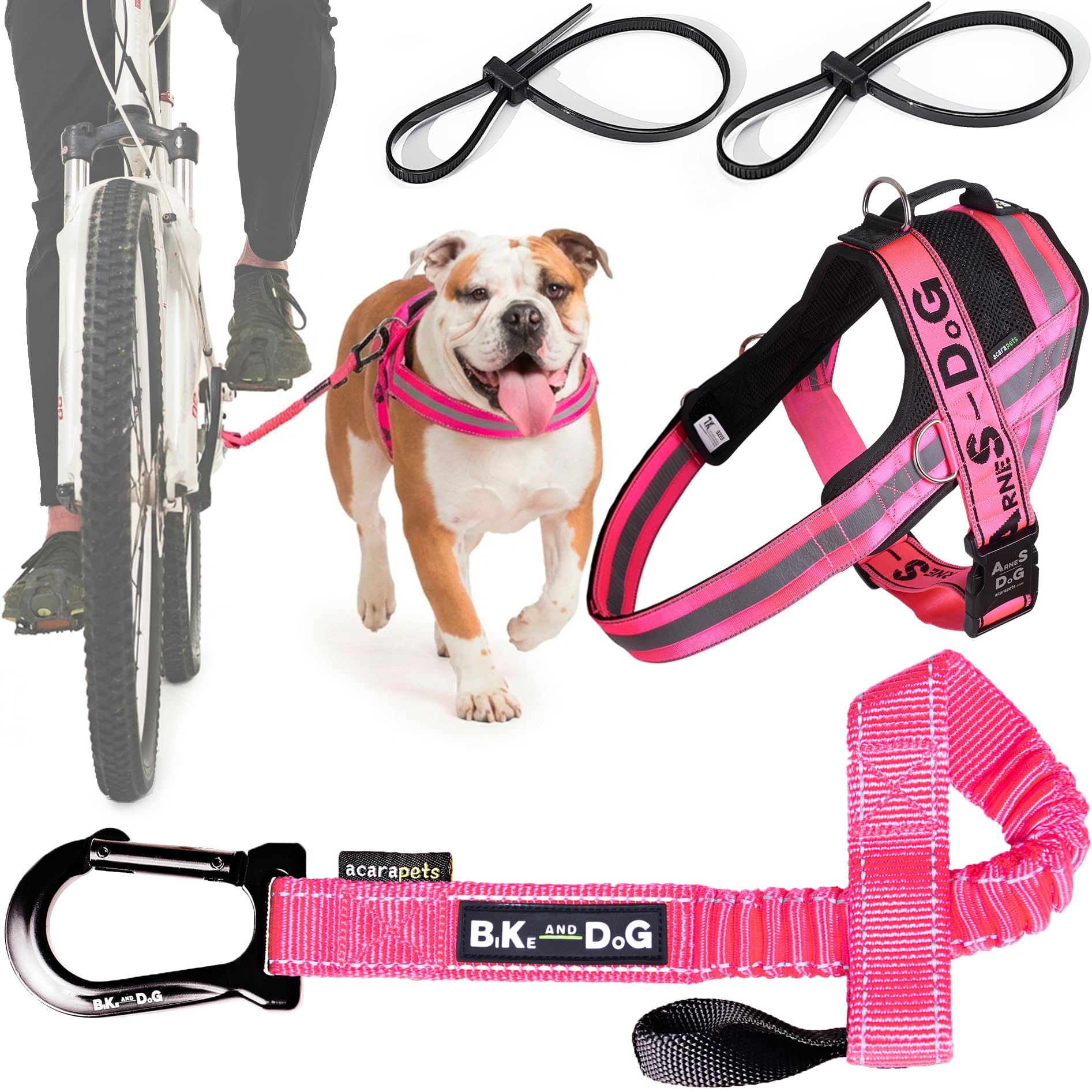 Correa y Arnés de Perro para Bicicleta, arnés con 3 Anillas, 2 Son Laterales, Incluye 2 Bridas Especiales para Bicicleta. Patentado. (XL, Rosa)