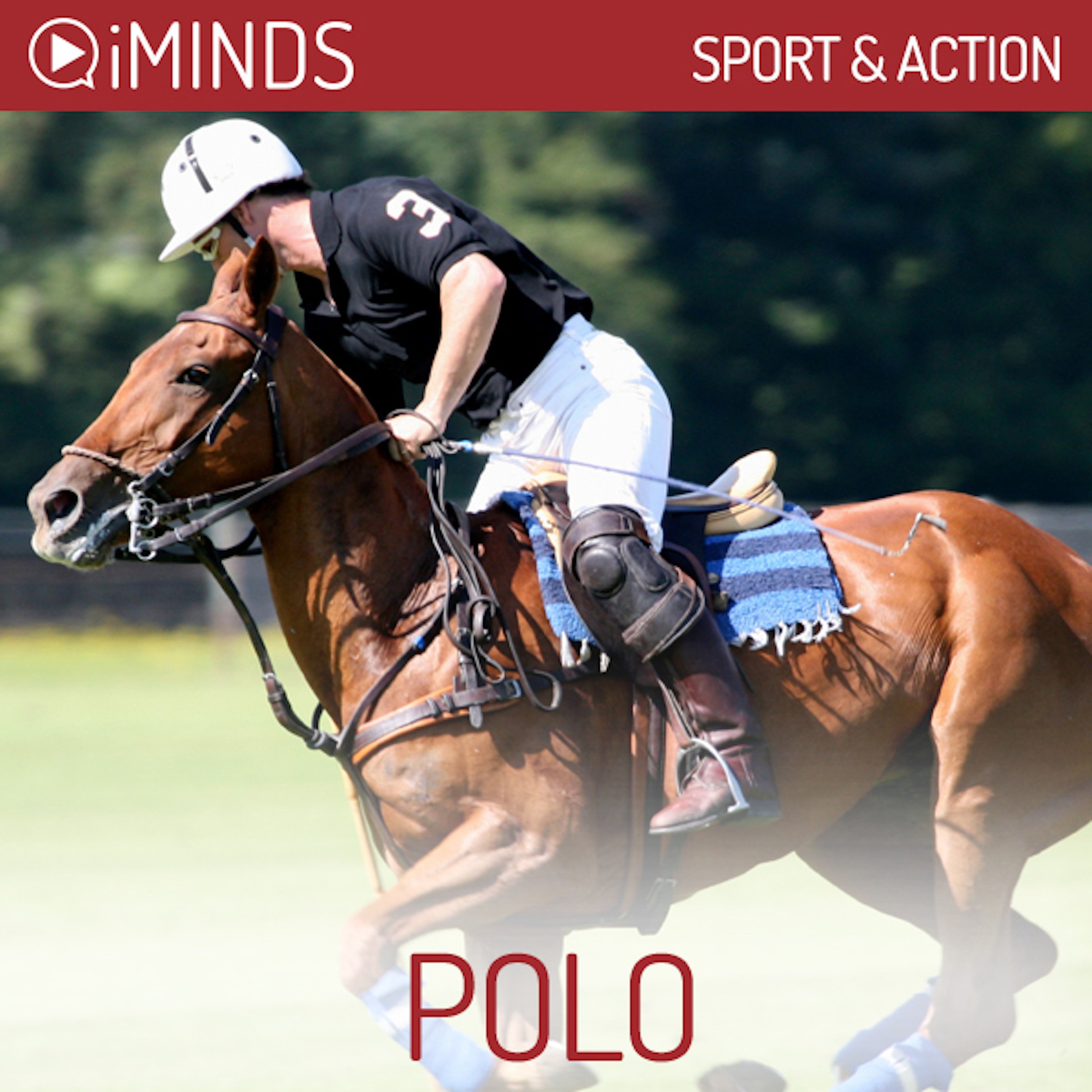 Cover art for Polo