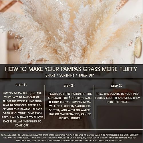Miniatura 4 de Hierba alta de las pampas, 10 unidades, decoración bohemia natural, ramo de flores secas para boda, arreglos florales, decoración del hogar (10