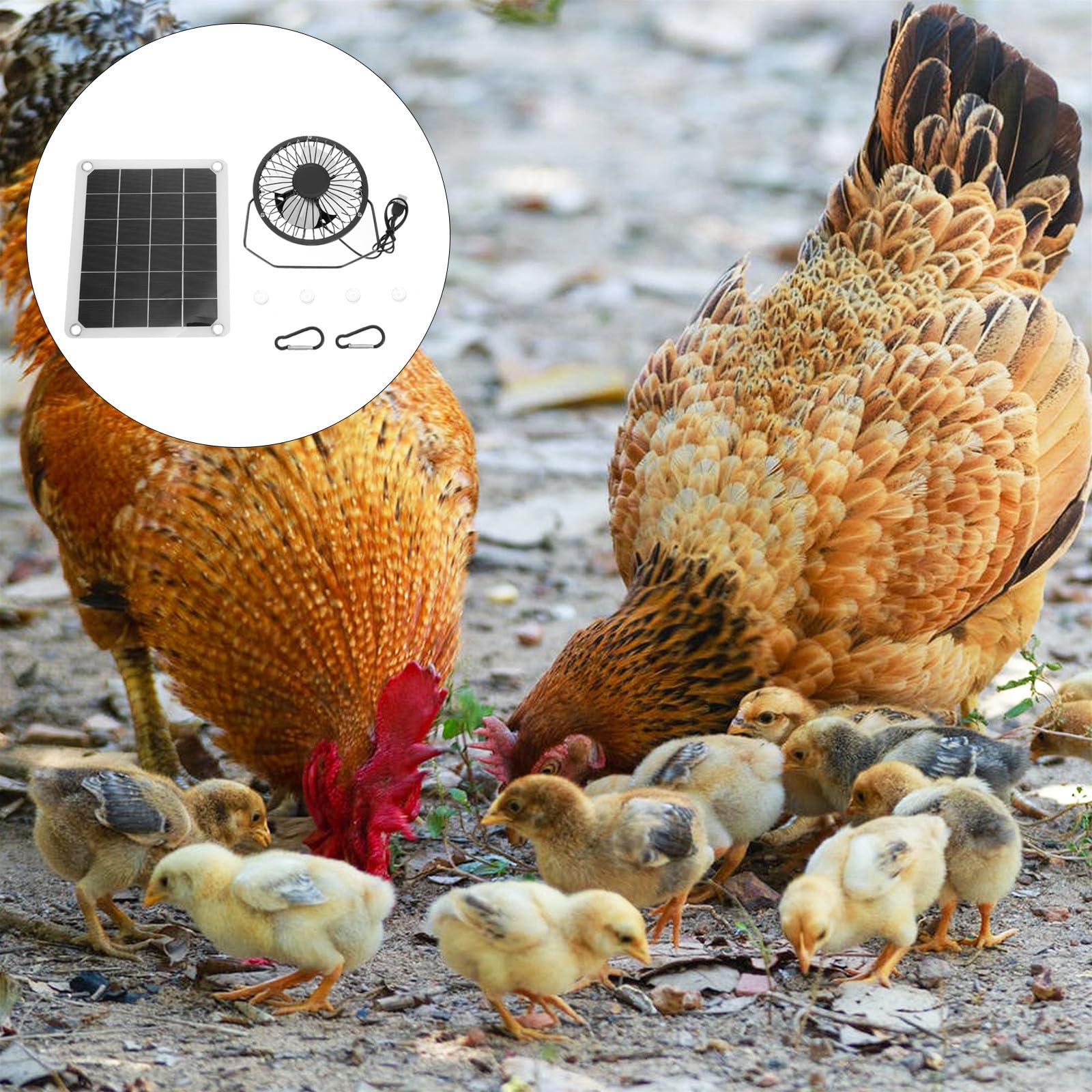 Healifty Solarbetriebener Ventilator 10w Leistung mit Monokristallinem Silizium für Sommeratmosphäre und Effiziente Belüftung für Gewächshaus und Haustierhäuser