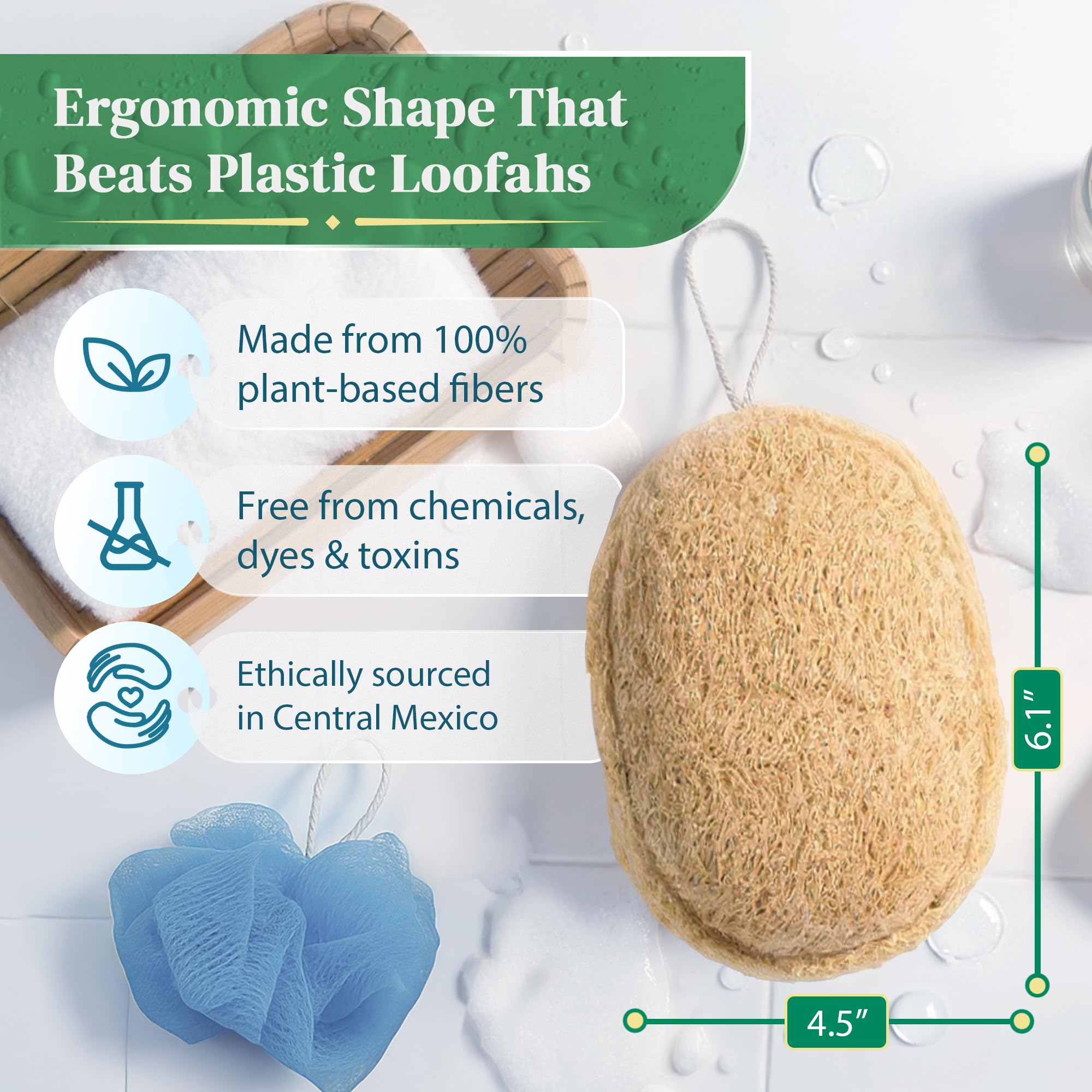 Esponja exfoliante natural de lufa (3 unidades) – Lufa orgánica para el cuerpo – Luffa de ducha biodegradable – Esponjas de baño naturales Loufa – Estropajos para el cuerpo
