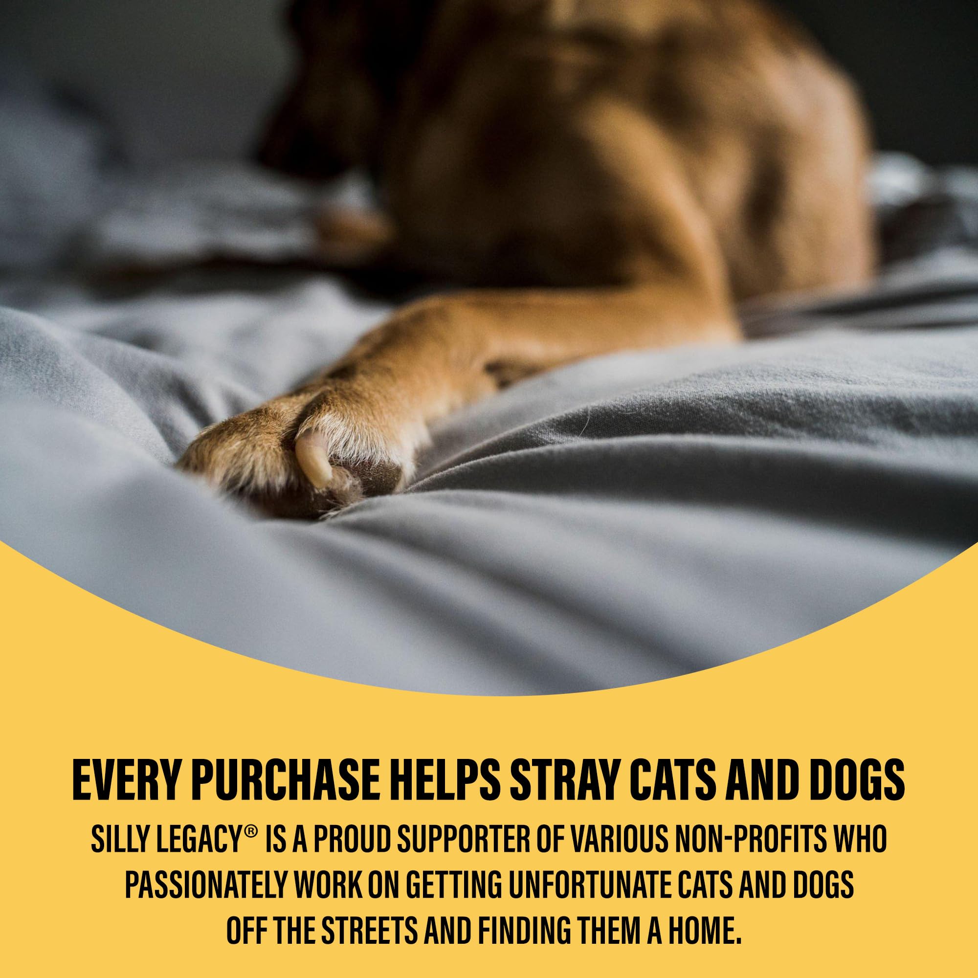 SILLY LEGACY Thin Reversible Waterproof Protective Cover or Liner for Bed or Couch for Dogs and Cats (Single 229 x 140 cm, Blue) - Image 4