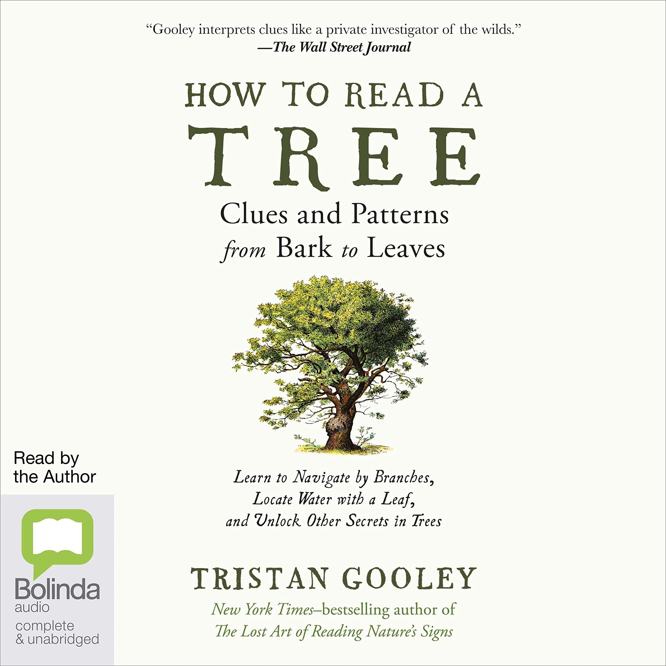 Cover art for How to Read a Tree