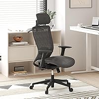Vista 10 de FLEXISPOT Silla de oficina ergonómica, silla giratoria de malla con respaldo alto, sillas de escritorio de oficina ejecutiva, con soporte lumbar