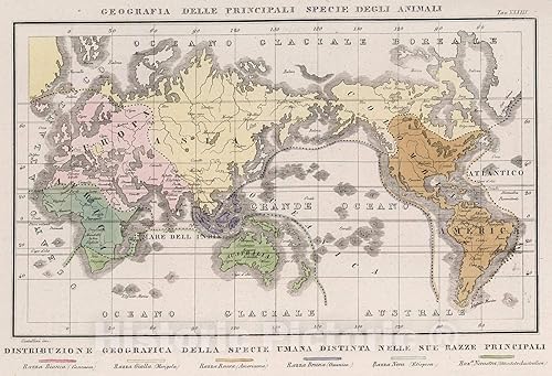 Mapa pictórico histórico Geografia Delle Principali Specie Degli Animali, 1842, decoración de pared vintage