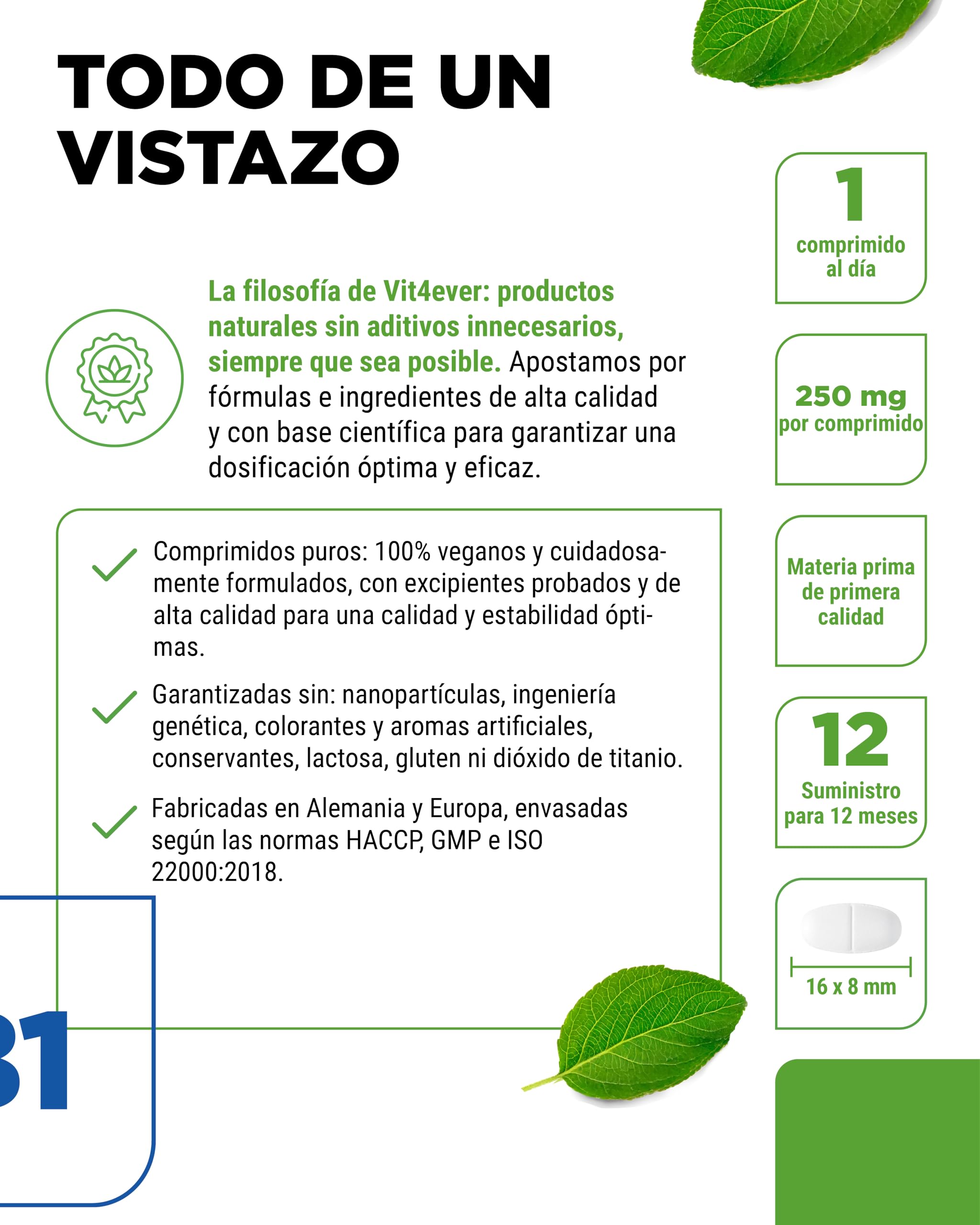 Vitamina B1 (Tiamina) - 250 mg - 365 Comprimidos - Premium: Clorhidrato de Tiamina - Alta biodisponibilidad - Suministro para 12 meses - Sin aditivos no deseados - Vegano