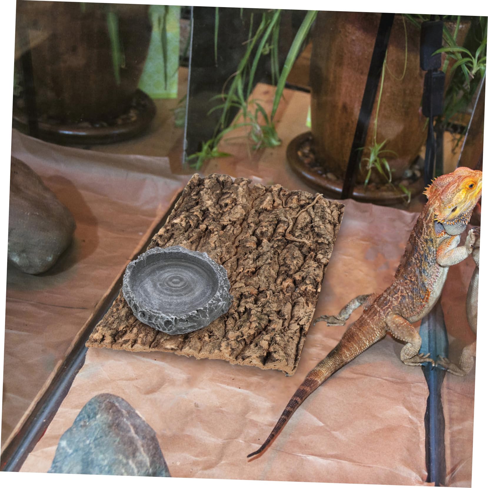 Bol à Nourriture Pour Reptiles - Plat Anti-Évasion Pour Lézard, Tortue, Caméléon, Serpent - Facile à Nettoyer - 4