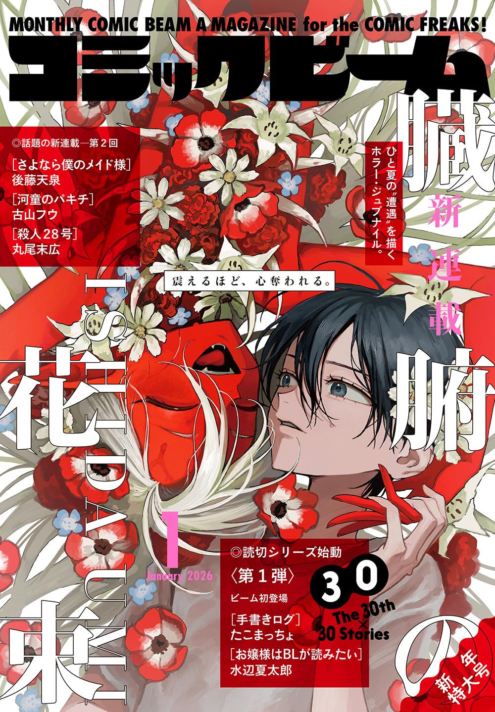 月刊コミック ビーム　1996年 1～12月号　まとめ売り　アスキー 月刊コミックビーム 2026年1月号 |本 | 通販 | Amazon