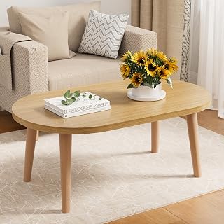 Small Coffee Table, Low Table with Solid Wood Legs, 23.6