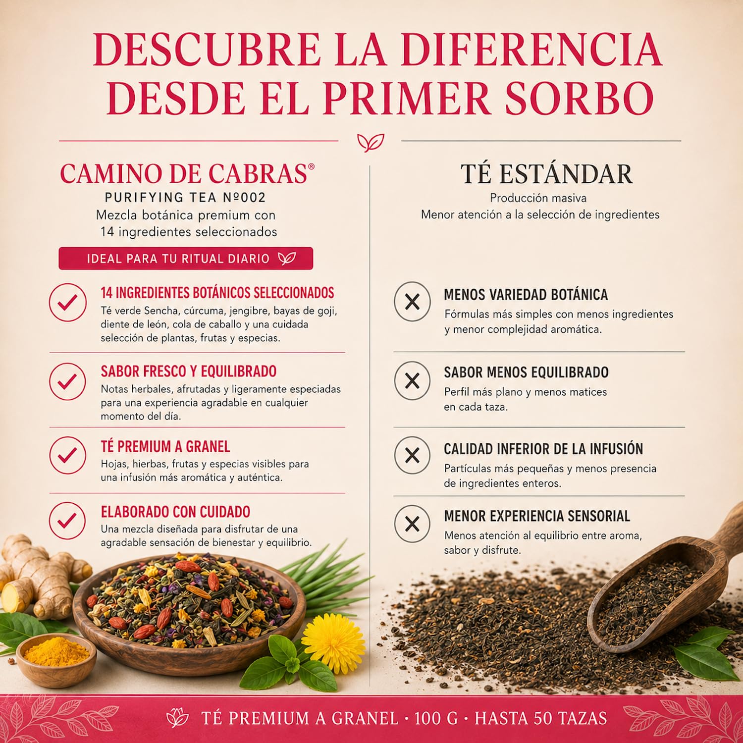 DETOX | Té Depurativo | Infusión drenante con efecto diuretico | Te Verde, Cola de Caballo, Diente de León, Curcuma, Jengibre, Bayas de Goji, Piña | Antioxidante Natural 100g