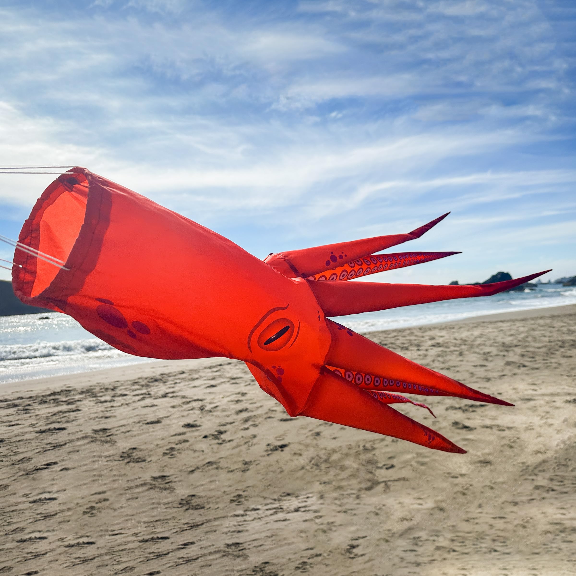 Amazon.com: In the Breeze 5206 — 40-inch Octopus 3D Windsock