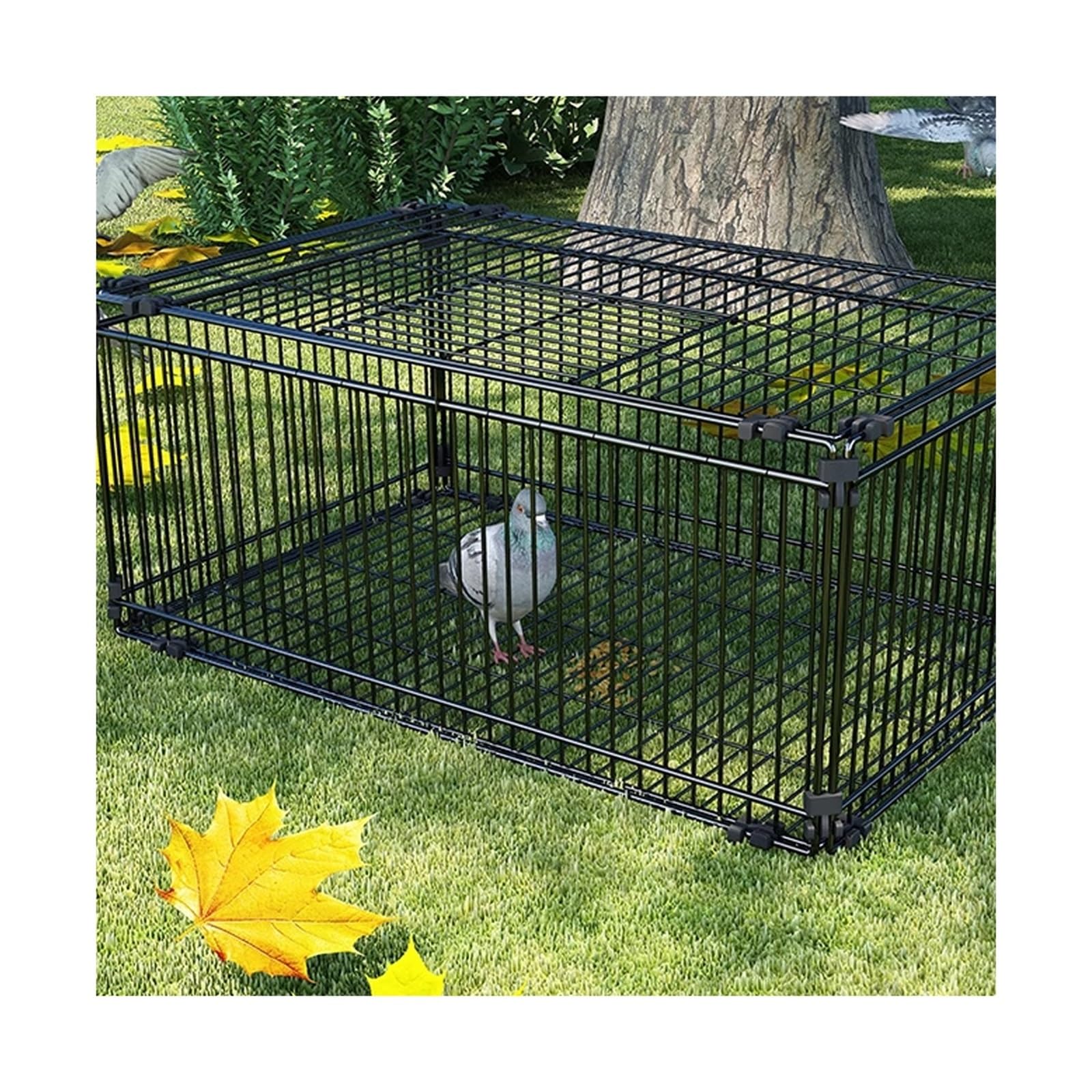 Cómoda Jaula for Palomas encriptada Que Solo Permite la Entrada Pero no la Salida Reciclaje automático de jaulas for Palomas de Exterior Práctica(Pequeño)
