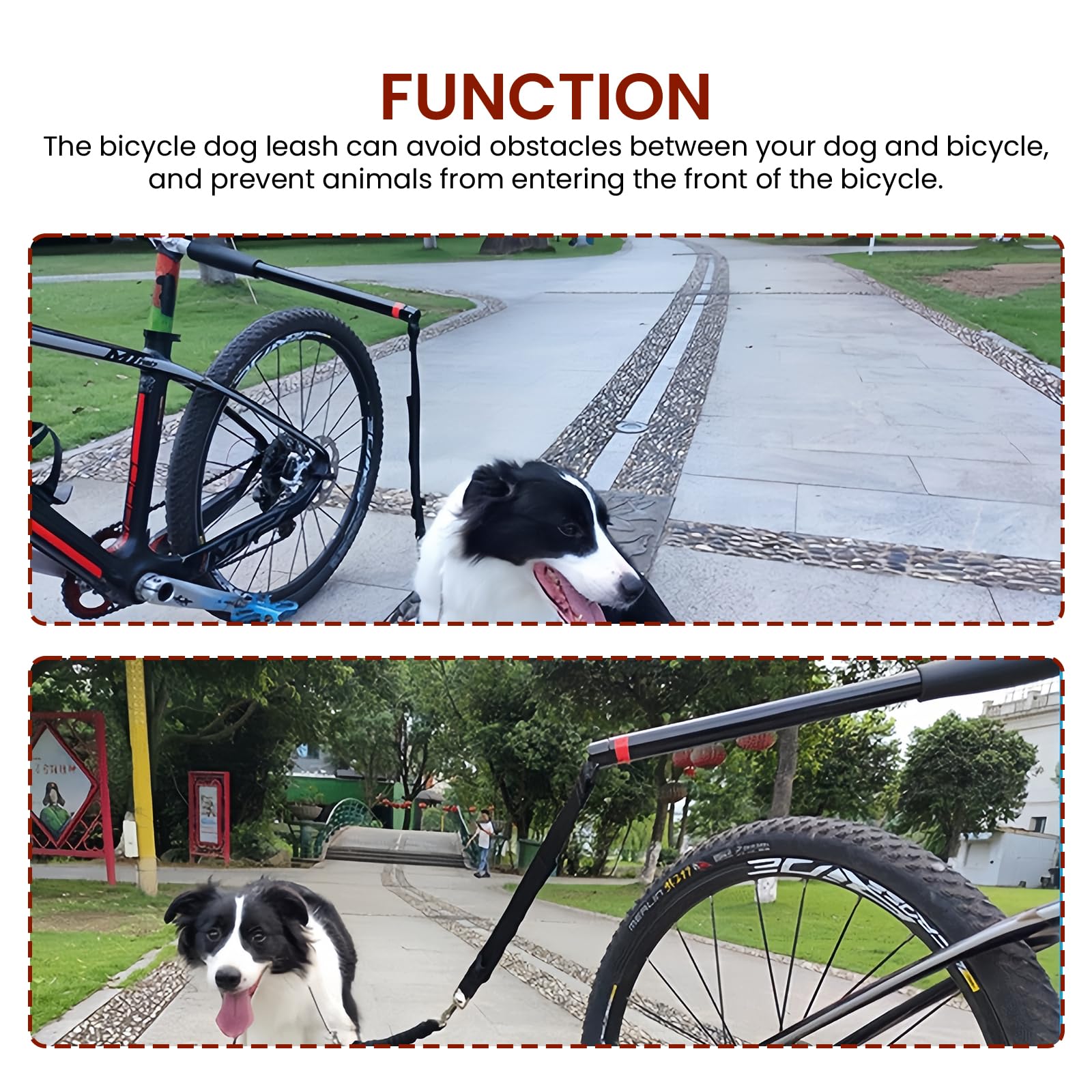 Fahrradleine Hund, für Sicheres Radfahren mit Hund, Fahrrad Hundeleine mit Abstandhalter und Inbusschlüssel, Hände Frei für Training Laufen Joggen und Outdoor Aktivitäten