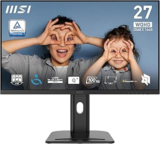 MSI PRO MP273QP E2 27-Inch 2K WQHD Office Monitor - 2560 x 1440 IPS Panel, 100Hz, Eye-Friendly Screen, Built-in Speakers, 4-way Adjustable - HDMI 2.0b (WQHD@100Hz), DP 1.2a
