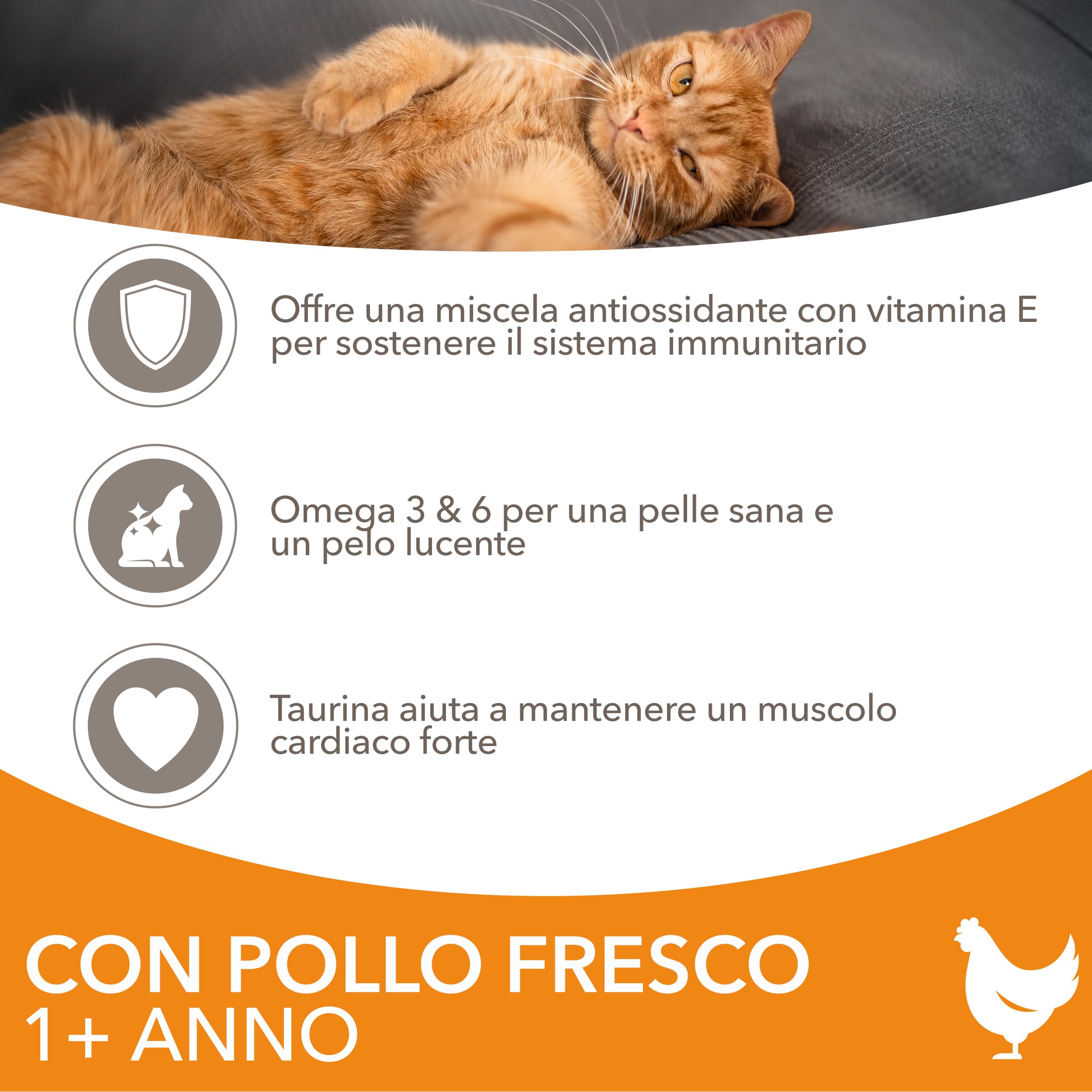 IAMS Cibo secco per gatti con pollo - Cibo secco per gatti da 1-6 anni, 10 kg