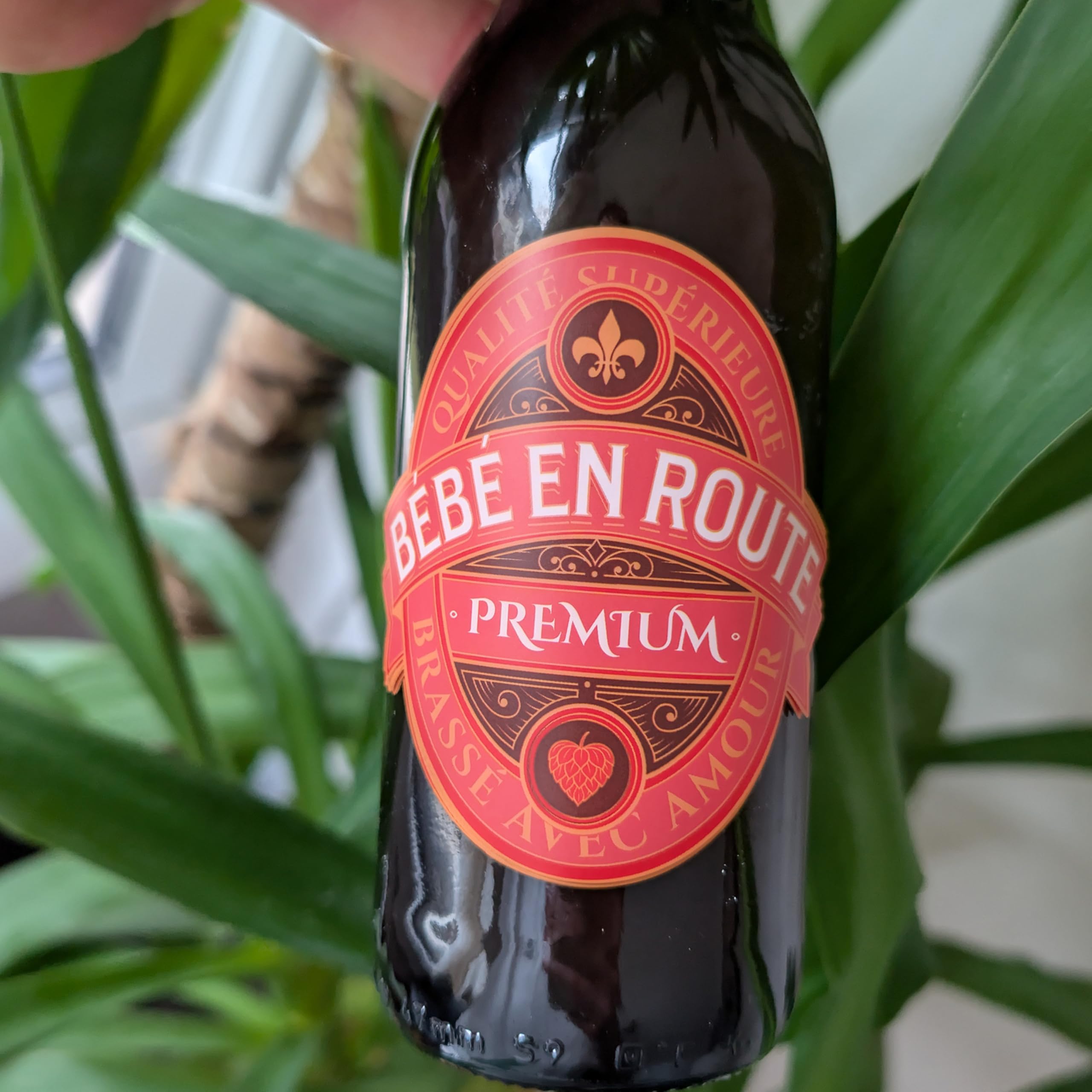 FunFest - Lot x6 Étiquettes Bière Annonce Grossesse - Bébé en Route - (Texte Français) - 2
