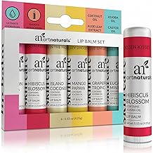 ArtNaturals 蜂蜡润唇膏礼品套装 &ndash; 6 包什锦口味椰子油、芦荟和荷荷巴油 &ndash; 保湿、滋养、天然护唇