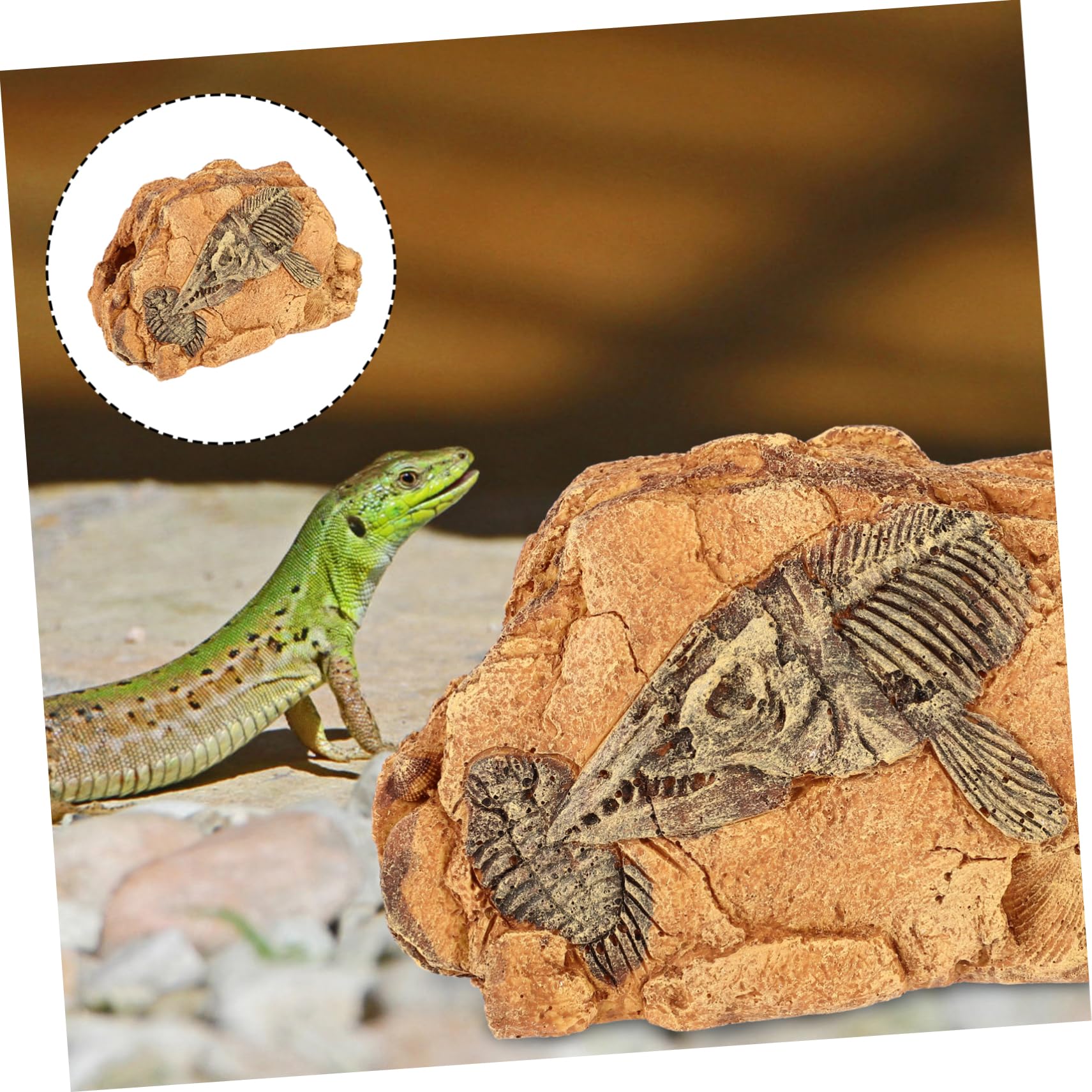 Caverna Nascondiglio in Resina per Rettili per Terrario | Forma a Grotta, Resistente alle Macchie, Sicura per L’uso Rettili, Decorazione per Habitat