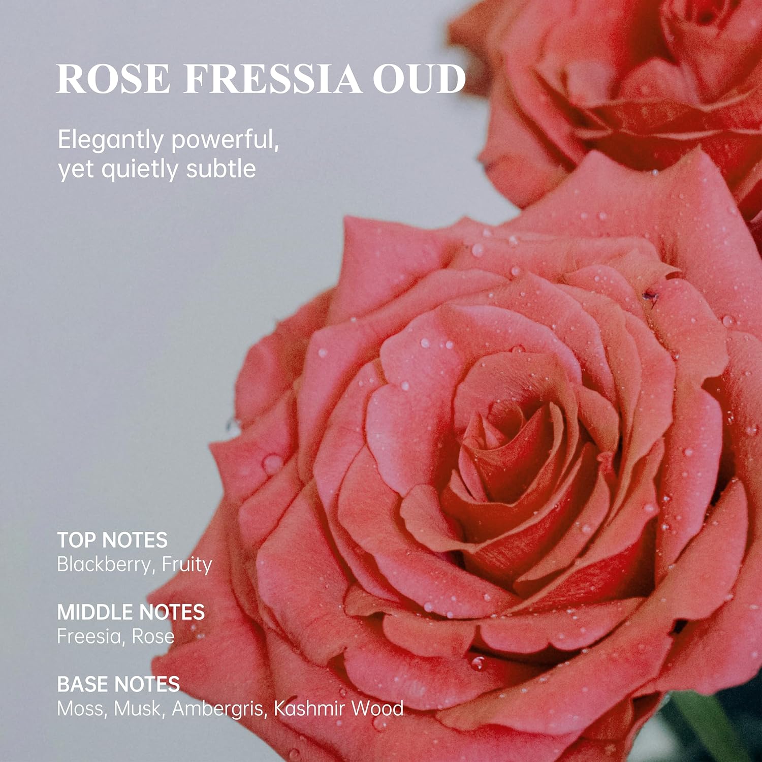 Desodorante Atom Fresh Natural para todo o corpo – Controle de odor de longa duração 72H – livre de alumínio, sem bicarbonato de sódio – com aminoácidos e probióticos – absorção… em promoção! Veja a oferta e mais achadinhos de Desodorantes 8 Hoje é o melhor dia para comprar Desodorante Atom Fresh Natural para todo o corpo – Controle de odor de longa duração 72H – livre de alumínio, sem bicarbonato de sódio – com aminoácidos e probióticos – absorção… com aquele preço maroto! Promoção! Aproveite a oferta! 8