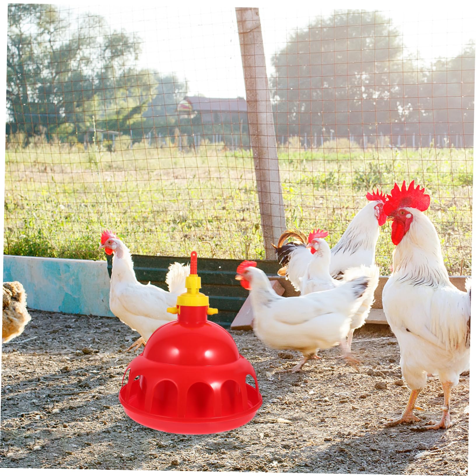 POPETPOP Bebedero Automático para Pajaros Bebedero para Gallinas Sistema De Doméstico y