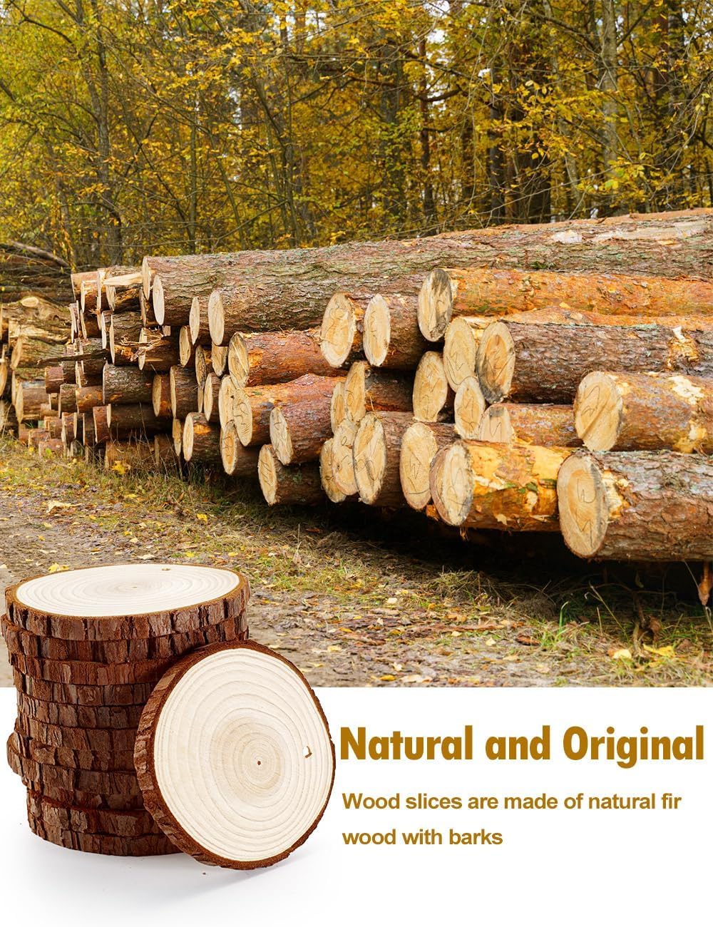 Fette di legno naturale 30 pezzi da 3 a 12 cm, kit di legno grezzo, cerchi di legno for artigianato, ornamenti natalizi in legno, matrimoni, fai da te(1.181.57 inch/34cm