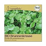 Samenliebe BIO Brunnenkresse Samen alte Sorte Echte Brunnenkresse Wasserkresse Wildkr&auml;uter gr&uuml;n 1500 Samen samenfestes Kr&auml;uter Saatgut f&uuml;r K&uuml;che indoor und Balkon Garten
