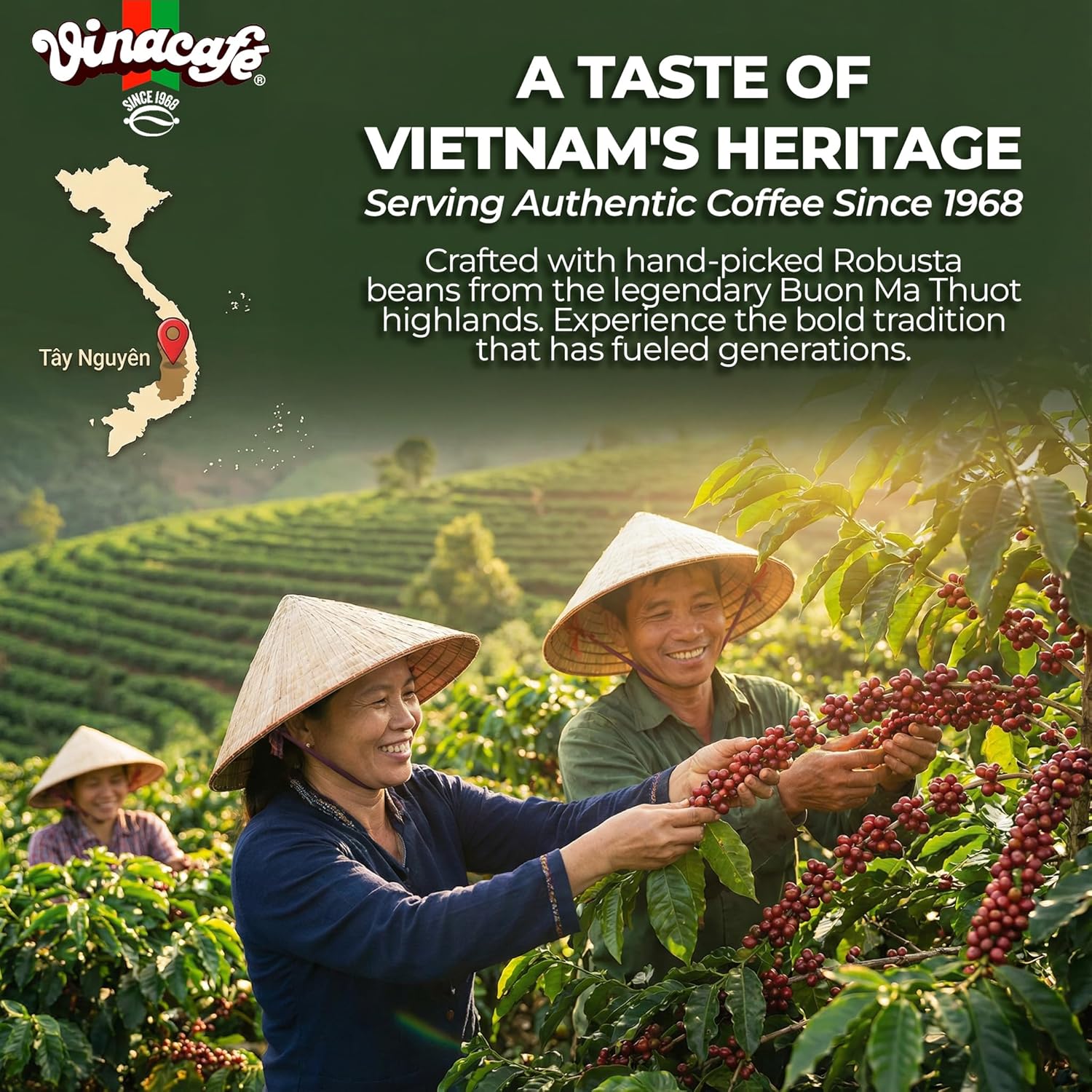 Instant Coffee Paets 1 Authentic Vietnese Taste, Balanced