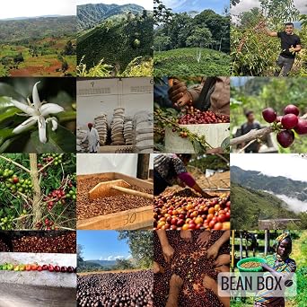 Bean Box Coffee Sampler - Explore Colombia, 2-Pack, Whole Bean, Gourmet Coffee